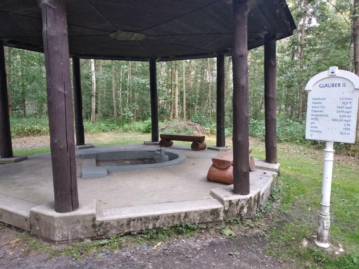 Apartments Ceska Františkovy Lázně Εξωτερικό φωτογραφία